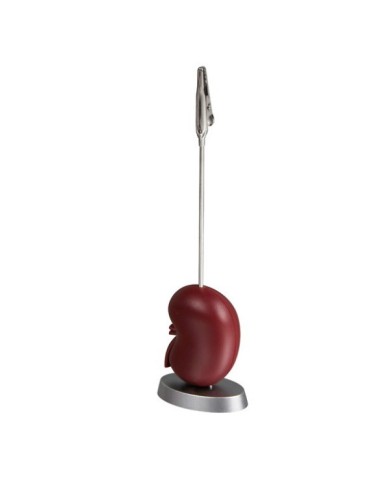 Portamemo a soggetto anatomico – art. A2416