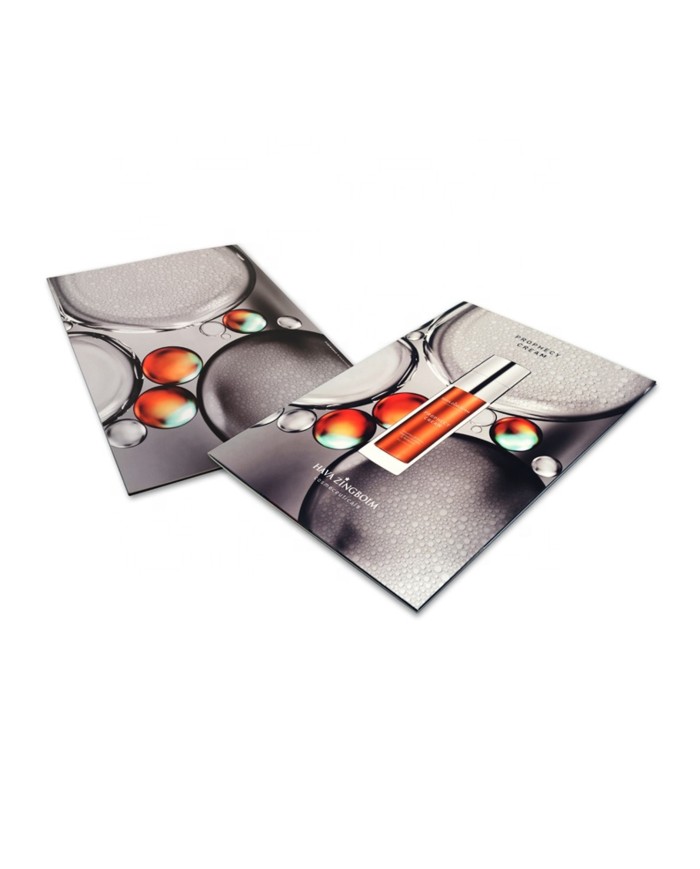 VideoPliant Super Slim – Art. SL01