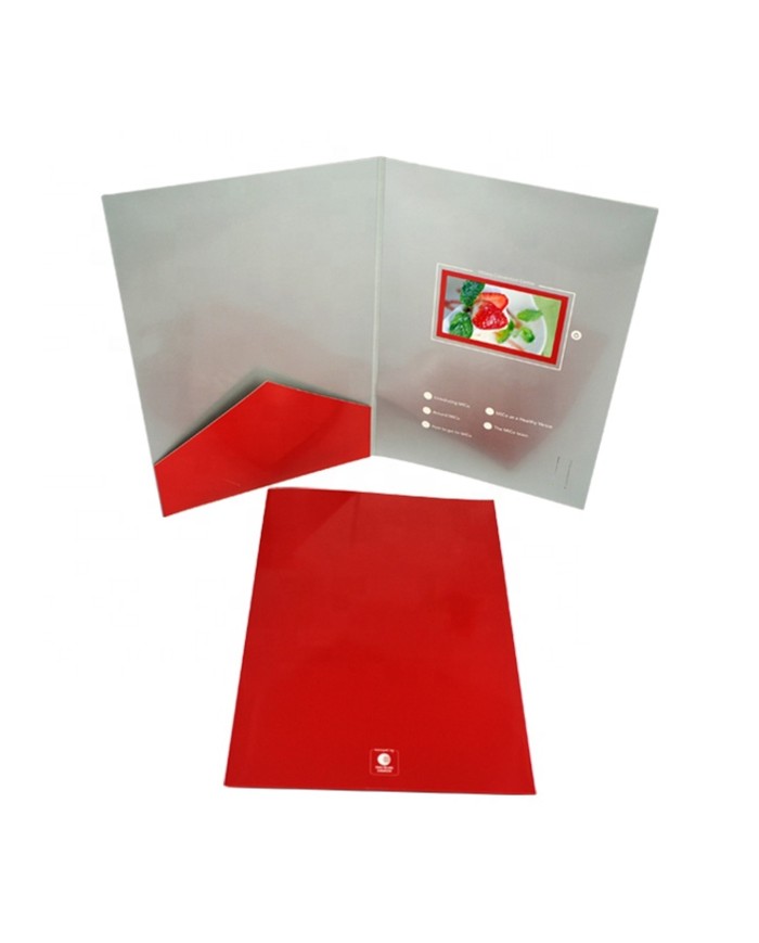 VideoPliant Super Slim – Art. SL02