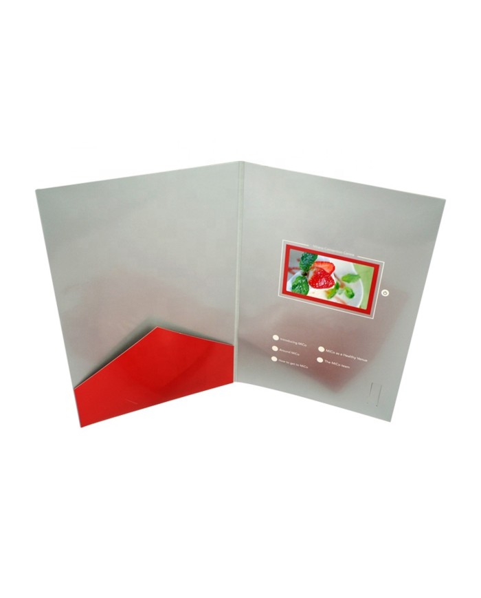 VideoPliant Super Slim – Art. SL02-b