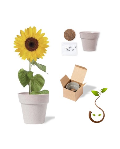 Set natura – art. VA015