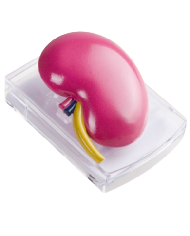 Memo dispenser – art. A2488