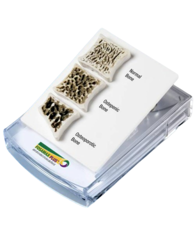 Memo dispenser – art. A2509