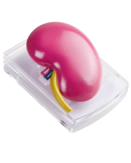 Memo dispenser – art. A2488