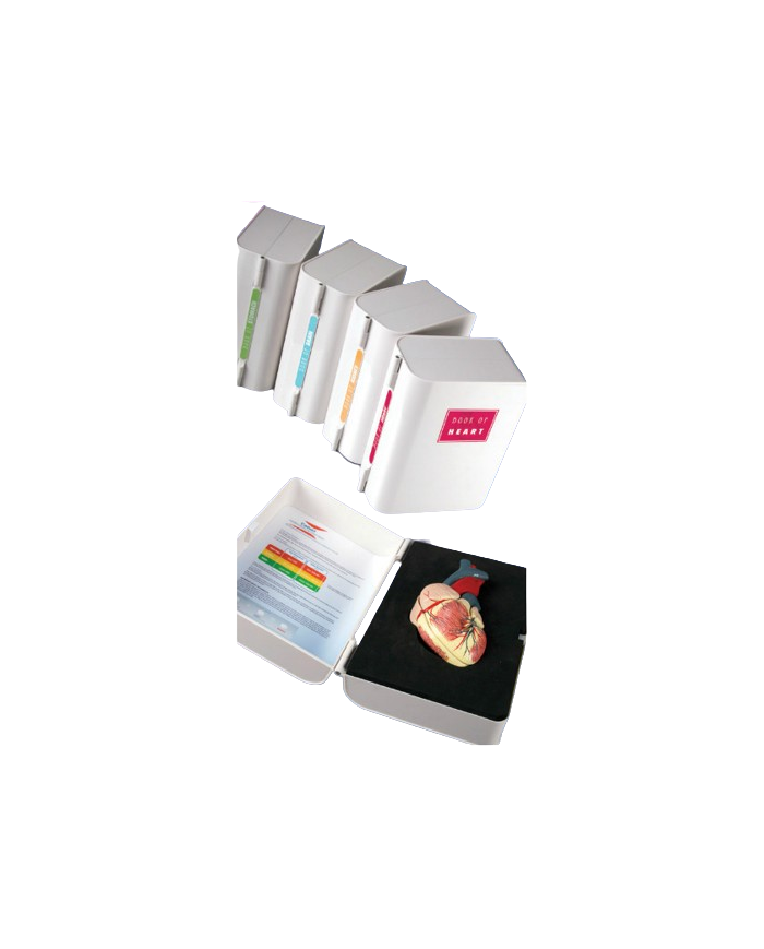 Schedulario di studio – art. KM058