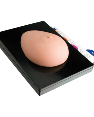 Modello di studio – art. KM095