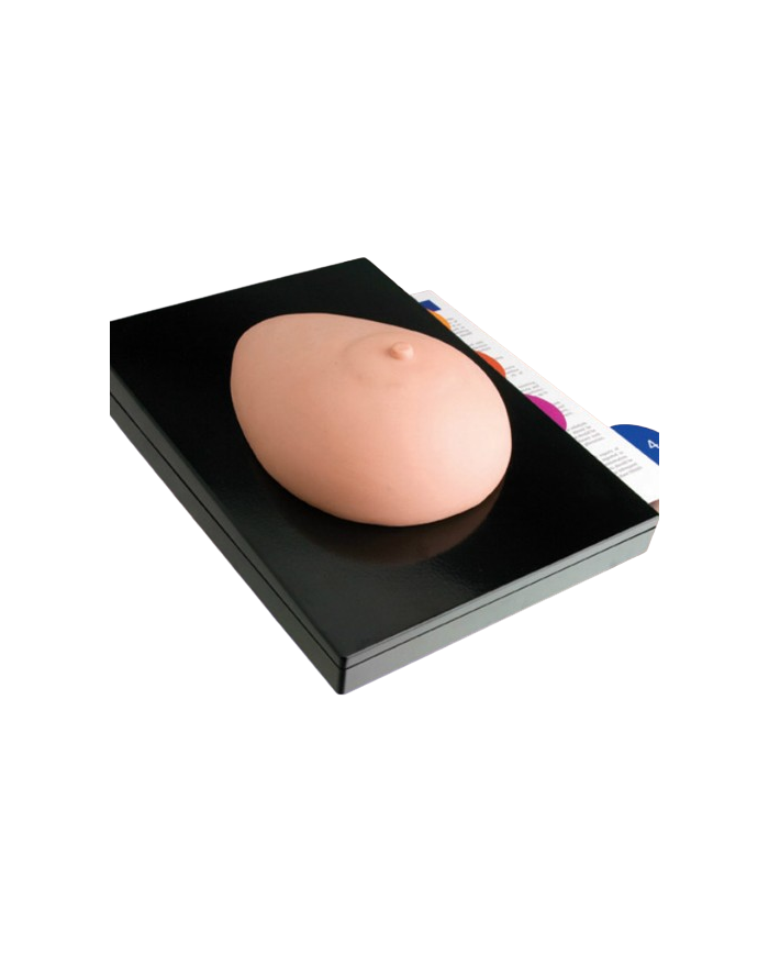 Modello di studio – art. KM095