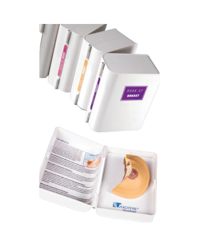 Modello anatomico – art. KM115