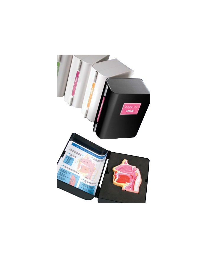 Modello anatomico – art. KM113