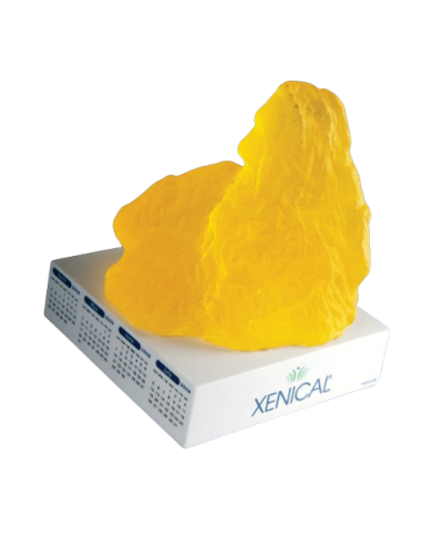 Modello anatomico – art. KM111