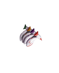 Otoscopio – art. A2261 gamma colori