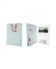 Video brochure Art.712