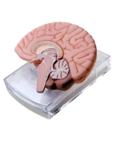 Memo dispenser – art. A2466