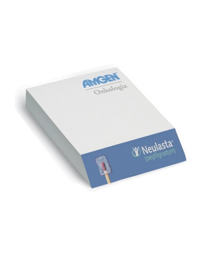 Blocco note – art. PM411